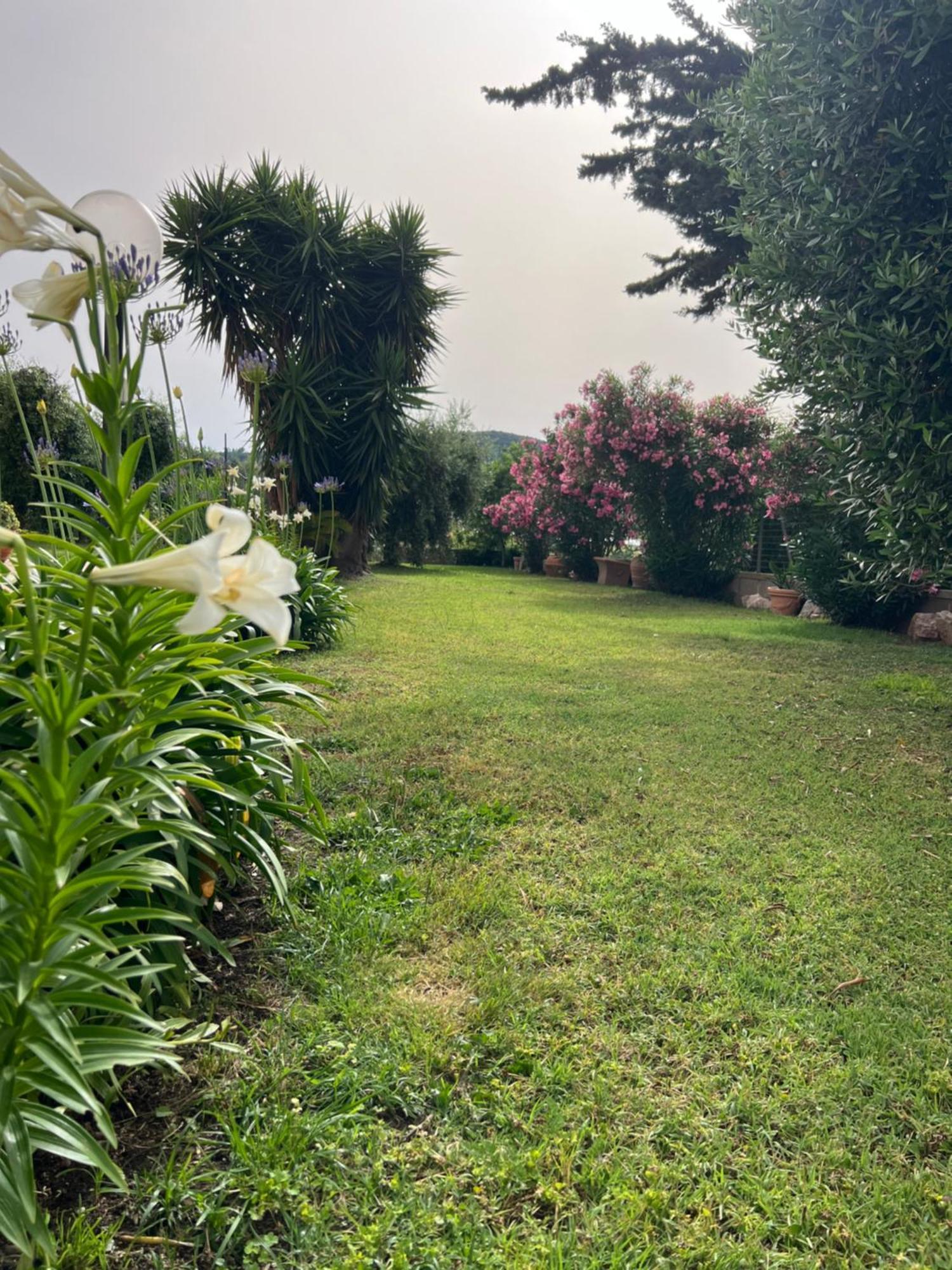 Agriturismo Il Giardino Degli Olivi Appartamenti Castiglione della Pescaia Ngoại thất bức ảnh